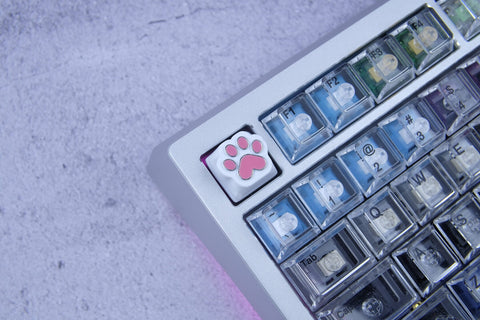 Cat Paw Artisan