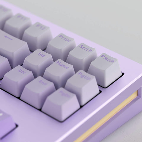 Monsgeek M3W Purple - Akko V3 Cream Yellow Pro