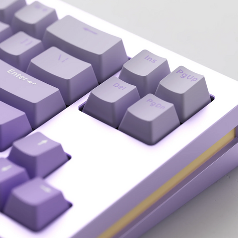 Monsgeek M7W Purple - Akko V3 Cream Blue Pro