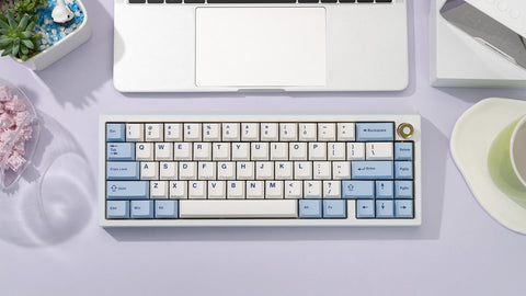 Zoom65 Special Edition E-White