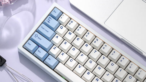 Zoom65 Special Edition E-White